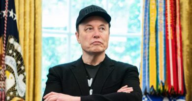 Elon Musk slammed Trump's 'big beautiful bill.' The stakes are high for Tesla if it becomes law.