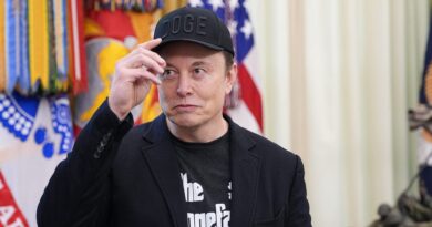 Elon Musk vows to defeat politicians who back Trump's megabill 'if it is the last thing I do'
