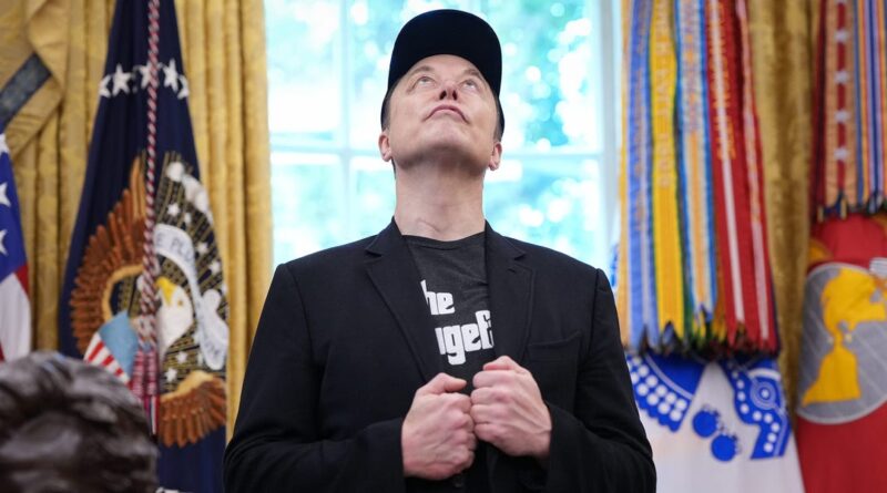 Elon Musk's step away from politics didn't last too long