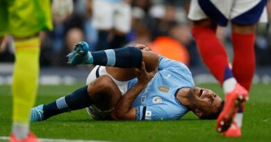 Rodri sustained a knee injury during Manchester City's Premier League game against Arsenal