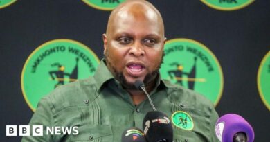 Floyd Shivambu: South African politician sacked by MK over Shepherd Bushiri visit