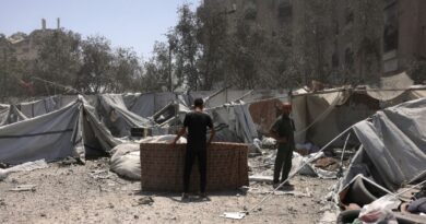 French grandmother files 'genocide' complaint over Gaza killings