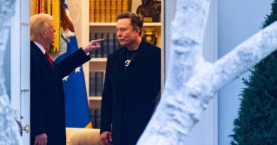 From 'First Buddy' to feud, here's how Elon Musk and Donald Trump's bromance has evolved