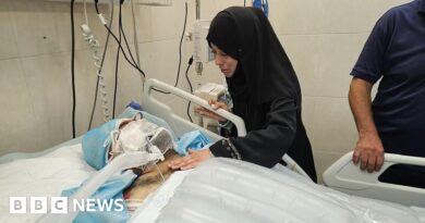 Gaza doctor whose nine children were killed in Israeli strike dies from injuries