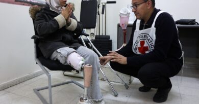 Gaza health system ‘extremely fragile’ as aid point killings increase: ICRC