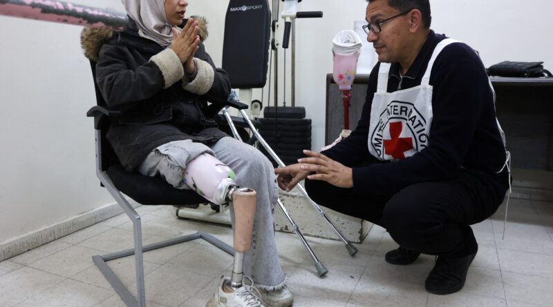 Gaza health system ‘extremely fragile’ as aid point killings increase: ICRC