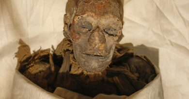Gender not main factor in attacks on Egyptian woman pharaoh: study