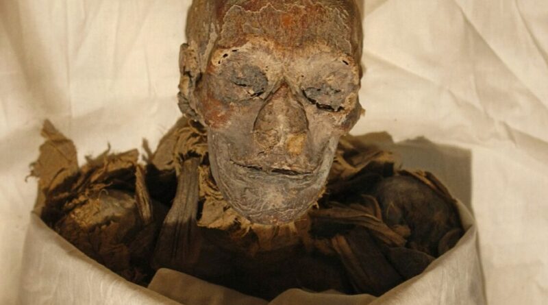 Gender not main factor in attacks on Egyptian woman pharaoh: study