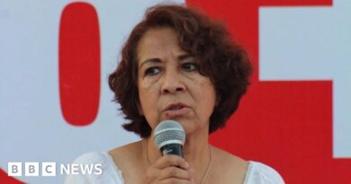 Gunmen storm Mexican village hall and shoot dead mayor