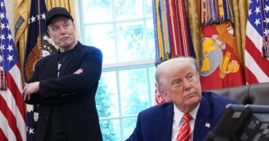 Here's how big business leaders are reacting to the Trump-Musk breakup