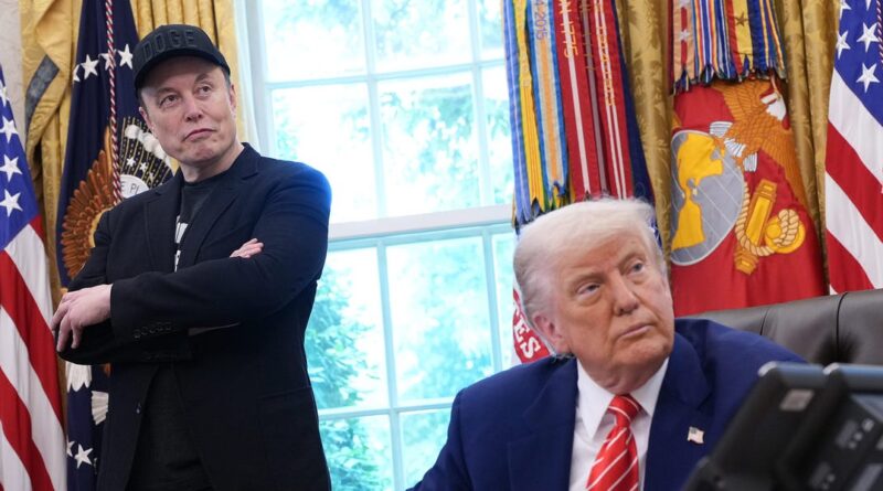 Here's how big business leaders are reacting to the Trump-Musk breakup