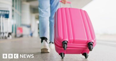 How budget airline baggage confusion triggered EU legal row