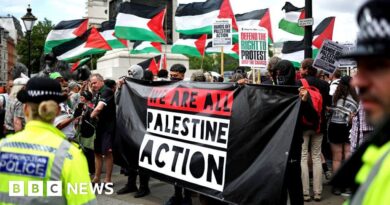 Hundreds of people gather for Palestine Action protest