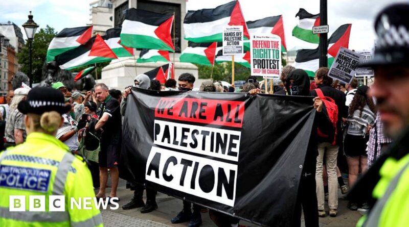 Hundreds of people gather for Palestine Action protest