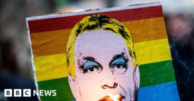 Hungary Pride to go ahead, as PM Orban threatens 'legal consequences'
