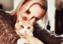 I left my Hollywood career to become a pet grief counselor. It changed the way I think about life, loss, and money.
