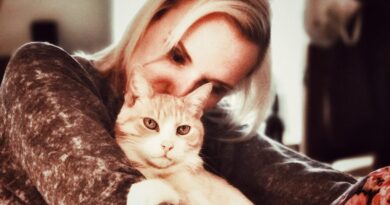 I left my Hollywood career to become a pet grief counselor. It changed the way I think about life, loss, and money.