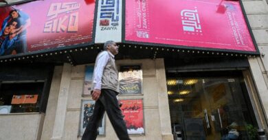 In Cairo, the little indie cinema that could