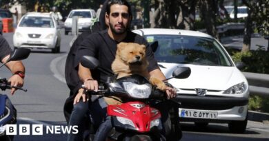 Iran expands dog walking ban beyond Tehran
