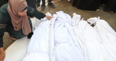 Israel kills more than 70 in Gaza, including 16 in bombing family building