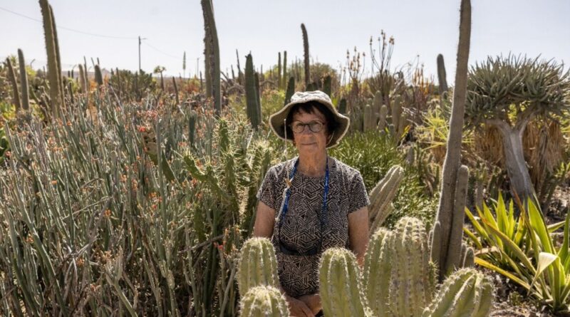 Israeli farmers revive tequila project cut short by Oct 7 attack