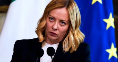 Prime Minister Giorgia Meloni makes statements to the press during the meeting with the Swedish Prime Minister at Palazzo Chigi, on February 26, 2025 in Rome, Italy.