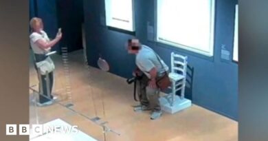 Italian museum's plea after couple break crystal-covered chair