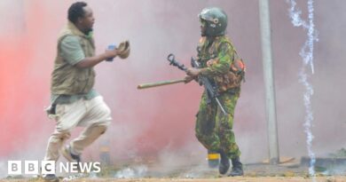 Kenya's Gen Z protests: 16 killed, rights group says as thousands march in Nairobi