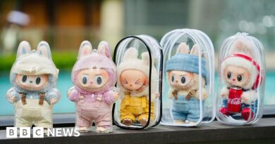 Labubu: How the Pop Mart dolls conquered the world