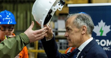 Leaders of Canada and Mexico lash out at Trump steel tariff hike