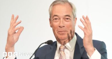 Let non-doms pay £250,000 and avoid UK tax, says Nigel Farage