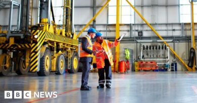 Lower energy costs part of government's 10-year plan for industry