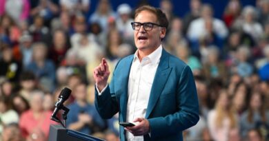 Mark Cuban says Kamala Harris' campaign courted him for VP, but he turned them down