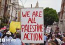 Met Police chief 'shocked' by planned Palestine Action protest in London