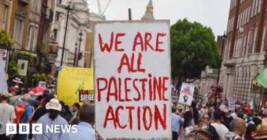Met Police chief 'shocked' by planned Palestine Action protest in London