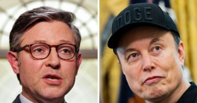 Mike Johnson said Elon Musk is 'terribly wrong' about Trump's 'big beautiful bill'