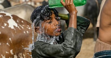 Month of May was world’s second-warmest on record: EU scientists