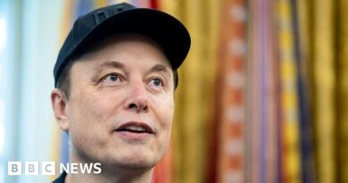 Musk calls Trump's tax bill a ‘disgusting abomination'