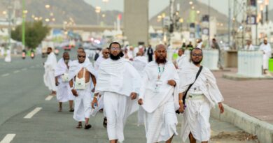 Muslim pilgrims pray at Mount Arafat in hajj apex