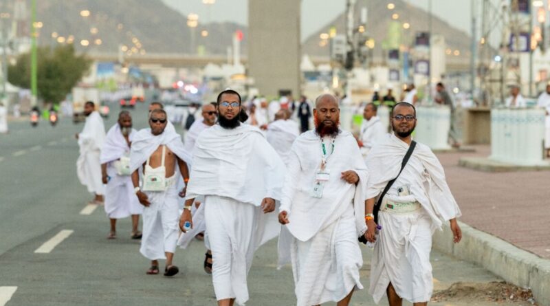 Muslim pilgrims pray at Mount Arafat in hajj apex