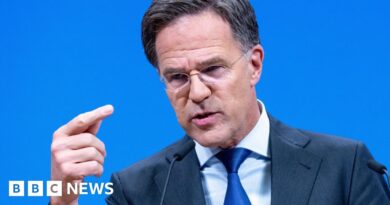 Nato chief is determined to give Trump a win with 5% defence spending plan