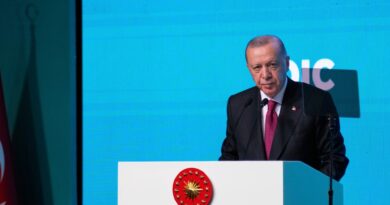 Netanyahu biggest obstacle to regional peace, says Erdogan at OIC meeting