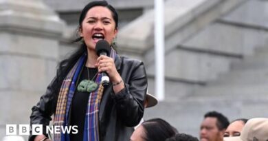 New Zealand: Three Maori MPs suspended over 'intimidating' haka