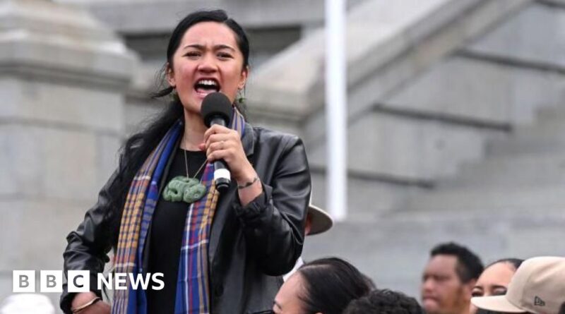 New Zealand: Three Maori MPs suspended over 'intimidating' haka