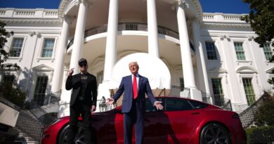 U.S. President Donald Trump and White House Senior Advisor, Tesla and SpaceX CEO Elon Musk deliver remarks next to a Tesla Model S on the South Lawn of the White House on March 11, 2025 in Washington, DC.