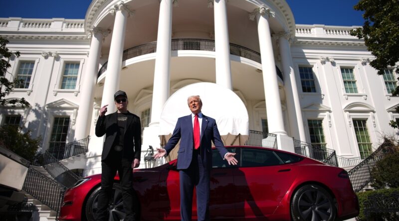 U.S. President Donald Trump and White House Senior Advisor, Tesla and SpaceX CEO Elon Musk deliver remarks next to a Tesla Model S on the South Lawn of the White House on March 11, 2025 in Washington, DC.