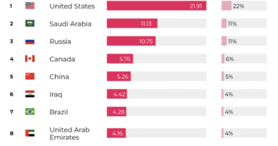 INTERACTIVE-The top 10 oil producers- JUNE16-2025 copy 2-1750160548