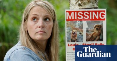 Posters, scented items and drones: Highland hunt for teenager’s missing therapy dog