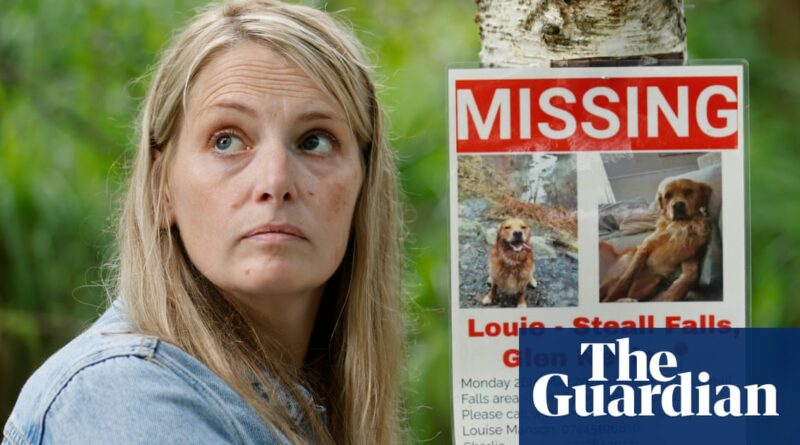 Posters, scented items and drones: Highland hunt for teenager’s missing therapy dog