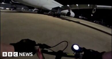 Pro-Palestinian activists break into RAF Brize Norton to spray planes